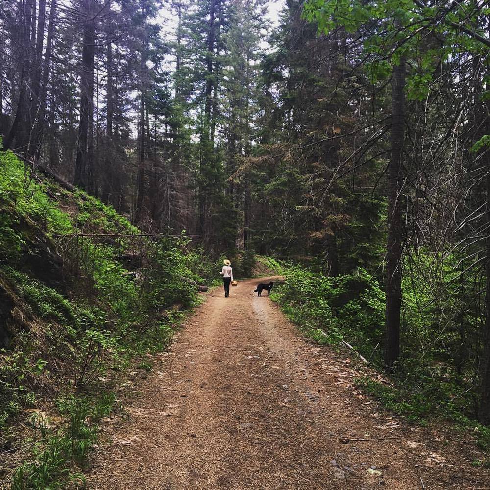 Meet your Posher, Anna